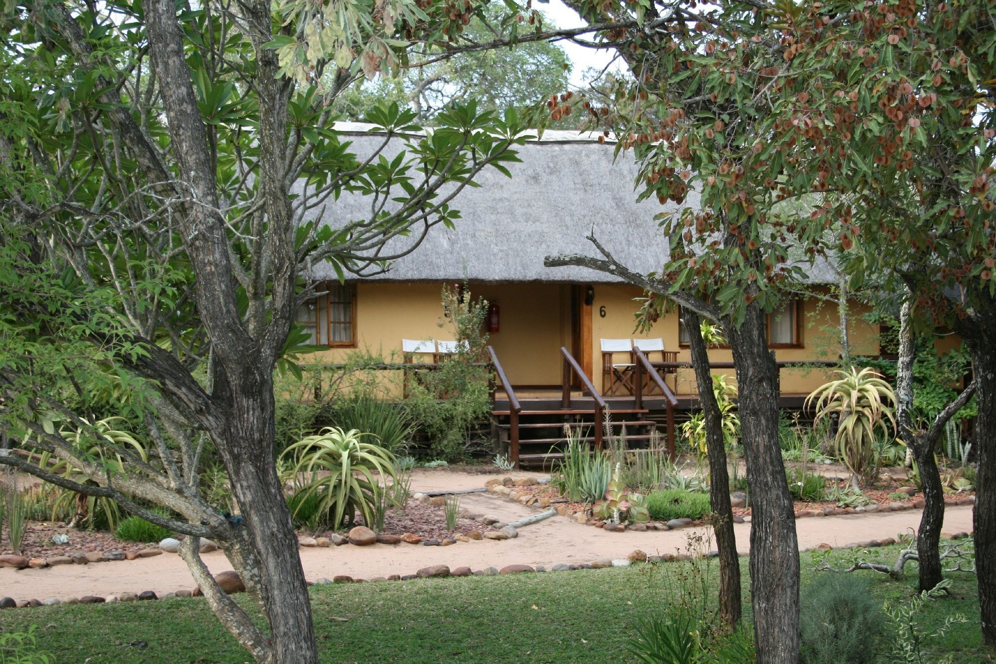 Thornhill Safari Lodge هويدزبروت المظهر الخارجي الصورة