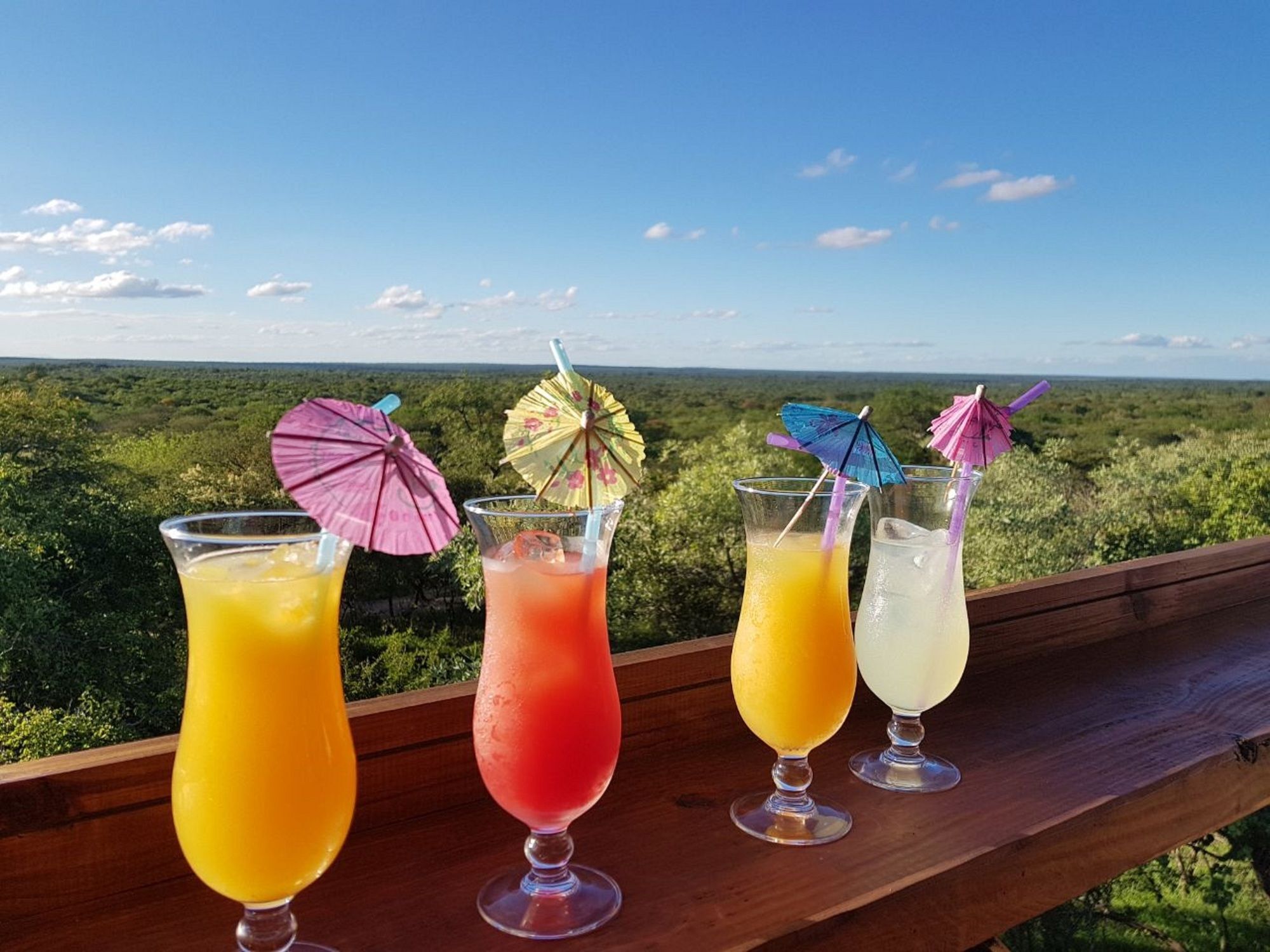 Thornhill Safari Lodge هويدزبروت المظهر الخارجي الصورة