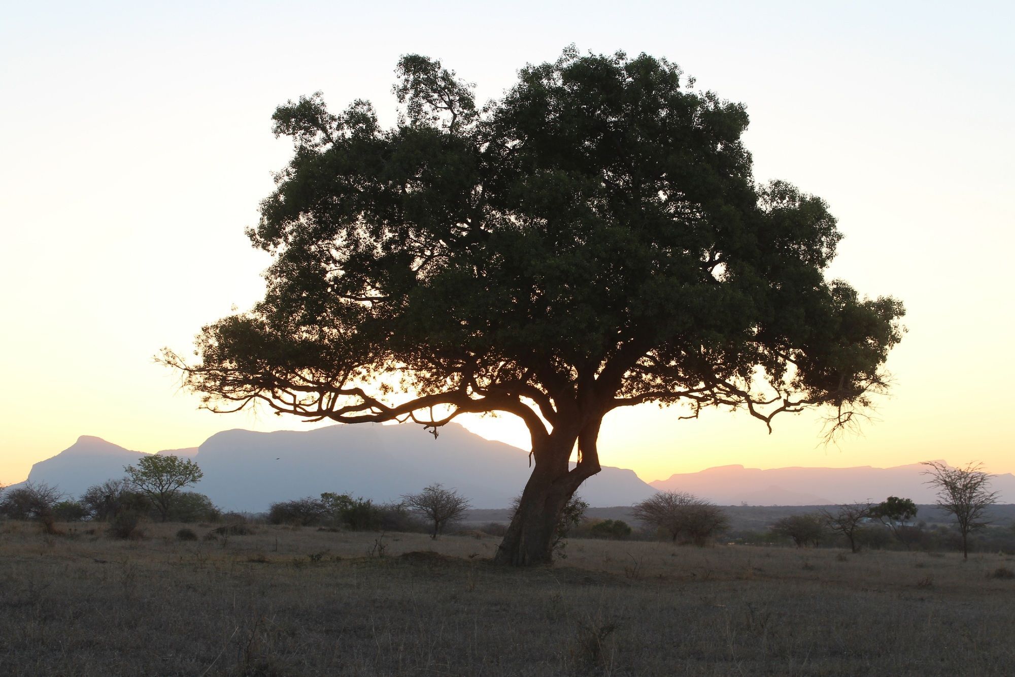 Thornhill Safari Lodge هويدزبروت المظهر الخارجي الصورة