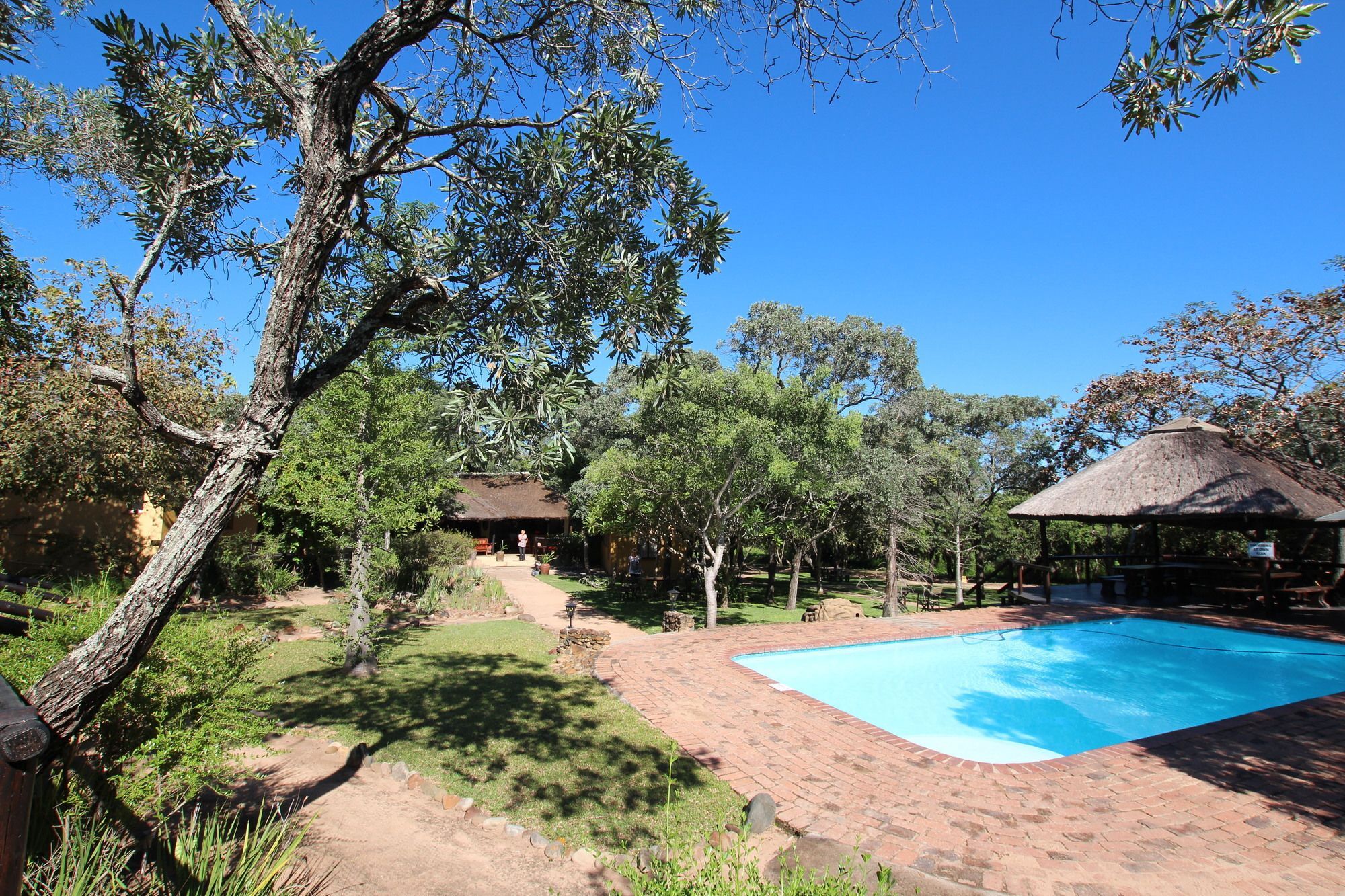 Thornhill Safari Lodge هويدزبروت المظهر الخارجي الصورة